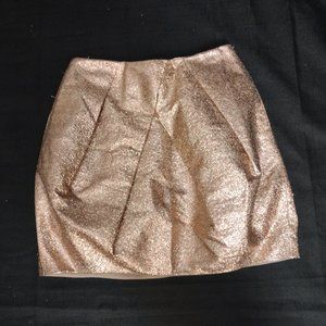 COPY - J. Crew Collection Metallic Gold Skirt - Size 00
